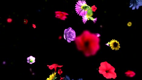 Colorful-big-flowers-background-in-4K