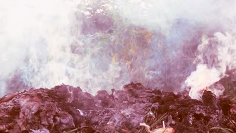 Fire-slow-motion-burning-on-garbage-pile-to-air-pollution