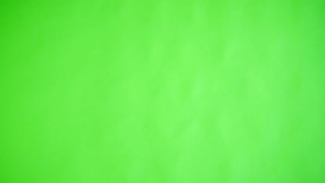 Kaukasische-Frau-Studio-Greenscreen-isoliert-sexy-skinny-20er-Jahre-4-k-Geschäft