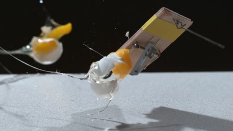 Slow-motion-egg-falling-onto-mouse-trap