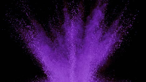 Purple-powder-exploding-on-black-background-in-super-slow-motion