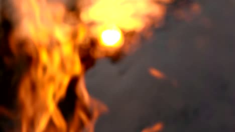 Slow-motion-fire-flame-burning-on-sunset-is-beautiful-dark-background