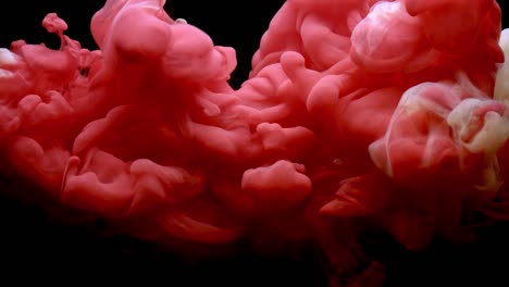 Red-and-white-paint-cloud-spraying-in-water-on-black-background.