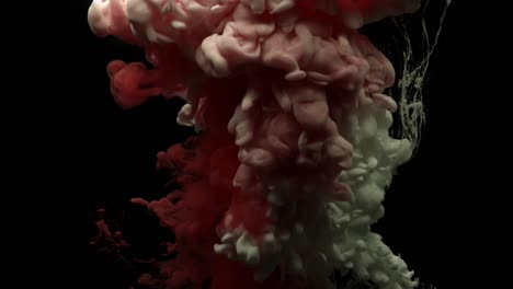 Red-and-white-acrylic-paint-cloud-spraying-in-water-on-black-background.