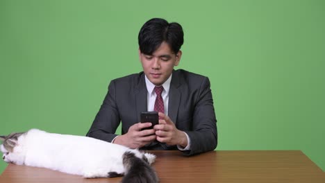 Junge-hübsche-asiatische-Geschäftsmann-mit-Perserkatze-vor-grünem-Hintergrund