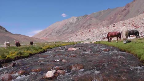 Beautiful-landscape-with-mountains-range,-river-and-horses-on-the-way-to-Pangong-lake,-Pangong-Tso,-Ladakh,-Jammu-and-Kashmir,-India.