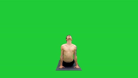 Man-pose-tut-Yoga-Übung-nach-unten-und-nach-oben-vor-Hund,-Adho-Mukha-Svanasana-(Sonne-Anrede-Pose)-und-verdrehen-Torso-auf-einem-Green-Screen,-Chroma-Key