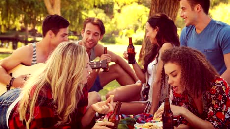 Felices-amigos-en-el-parque-con-un-picnic