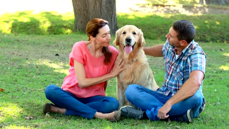 Glückliches-Paar-mit-Ihrem-Hund-im-park