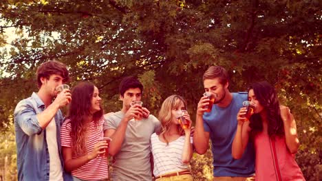 Happy-friends-toasting-in-the-park