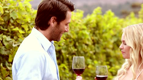 Happy-couple-discussing-while-having-a-wine-glass