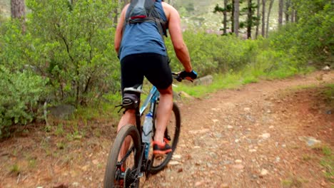 Couple-biking-through-a-forest