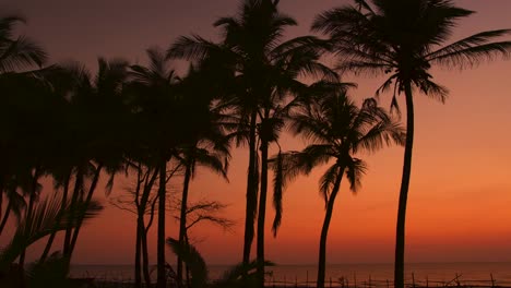 Agonda-atardecer-Lapso-de-tiempo