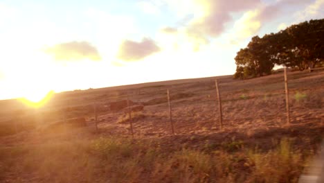 Teenager-friends-embracing-joyfully-on-their-road-trip-at-sunset