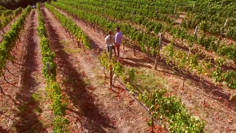 Drone-footage-of-couple-walking