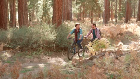 Männliche-paar-sprechen,-wie-Sie-eine-Radtour-durch-den-Wald,-Vorderansicht