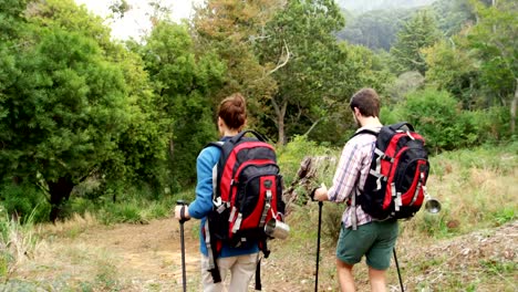 Pareja-caminata-nórdica