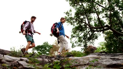 Couple-walking-on-a-tree-trunk