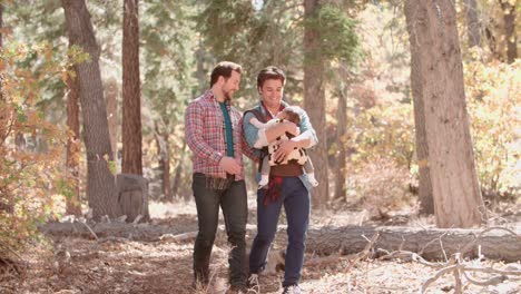 Male-couple-in-forest-with-baby-in-sling-walk-towards-camera