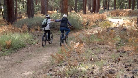 Two-women-embracing-as-they-ride-bikes-in-forest,-back-view