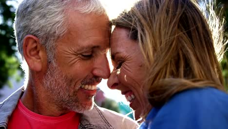 Portrait-of-mature-couple-is-smiling-and-embracing