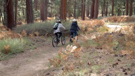 Lesben-paar-auf-dem-Fahrrad-hoch-fünf-in-einem-Wald,-Ansicht-von-hinten