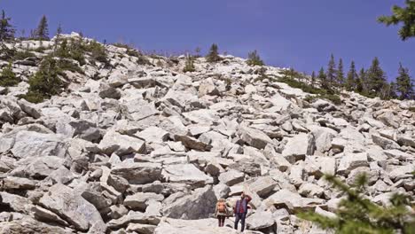 Adventurous-Hikers