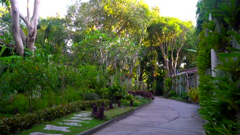 Beautiful-foliage-on-a-tropical-island.-many-different-flowers-and-trees.-Tropical-fairy-tale.