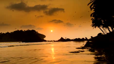 Tropical-Beach-Sunset-Timelapse---Kerala-Indien