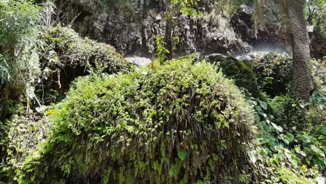 Dusche-wie-Wasserfall