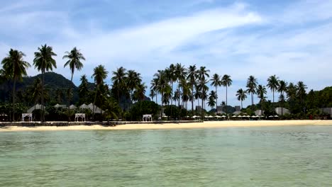 Kokosnuss-Palmen,-wunderschöne-tropische-Hintergrund