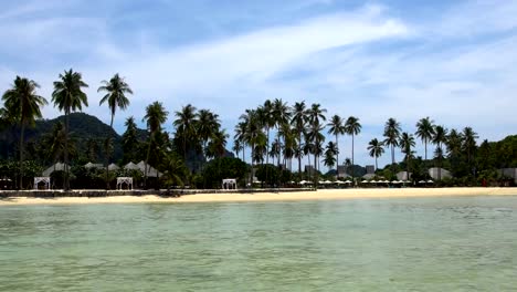 Coconut-palm-trees,-beautiful-tropical-background