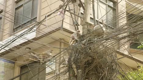 Monkey-on-the-electricity-cable-in-the-city.-Kathmandu,-Nepal.