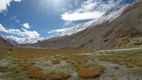 Paisaje-Santuario-de-vida-silvestre-de-Pangong,-Leh-Ladakh,-India