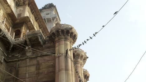 Temple-with-doves.