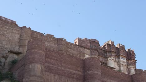 Raptors-and-birds-flying-over-Jodhpur-Fort,-Rajasthan,-India.