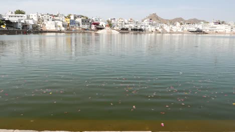 Schwimmende-Blumen-auf-dem-Weihwasserteich-in-Pushkar,-Rajasthan,-Indien