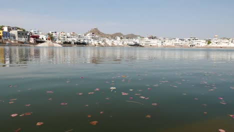 Schwimmende-Blumen-auf-dem-Weihwasserteich-in-Pushkar,-Rajasthan,-Indien