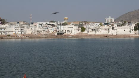 Pushkar,-Rajasthan,-India