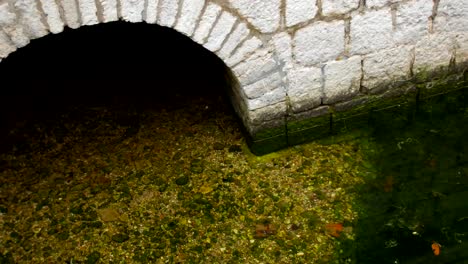 Graben-mit-Wasser-um-das-Gebäude.-Alte-Verteidigungsmittel