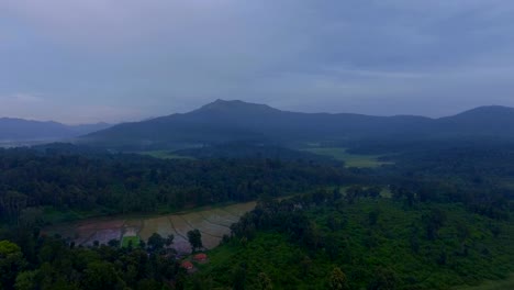 Paddy-Field-Surrounded-by-Lush-Green-Valleys