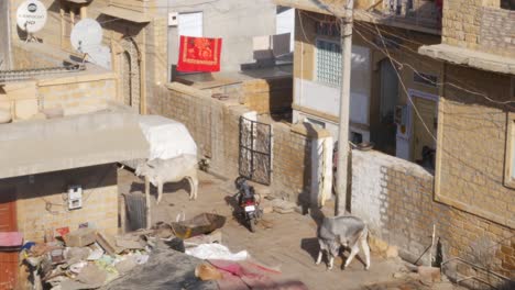 Fuerte-De-Jaisalmer,-India