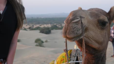 Taking-a-selfie-with-camel-in-desert