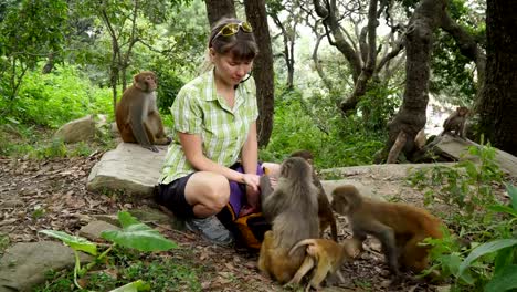 The-girl-feeds-wild-monkeys