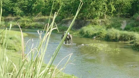 Safari-de-elefantes-con-los-turistas-en-selva,-Parque-nacional-en-Chaitwan,-Nepal.