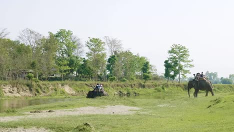 Safari-de-elefantes-con-los-turistas-en-selva,-Parque-nacional-en-Chaitwan,-Nepal.