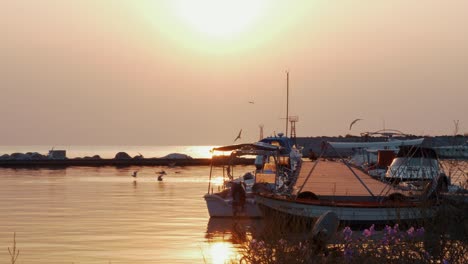 Marine-Szene-mit-Hafen-und-Möwen-bei-Sonnenuntergang