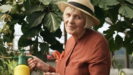 Elderly-Woman-Working-in-Greenhouse-and-Smiling-for-Camera