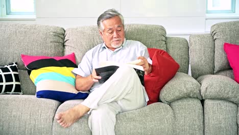 Alter-Mann-Lesebuch-im-Wohnzimmer.-Asiatischer-senior-Mann-mit-weißem-Bart.-Senior-Lifestyle-Konzept.-Schieberegler-erschossen.