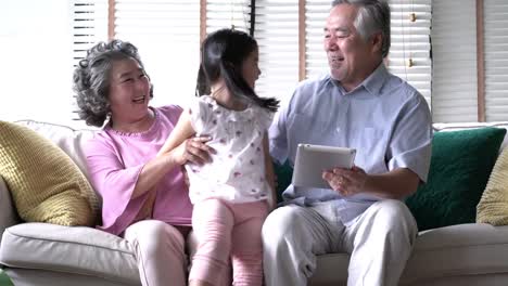 Muchacha-de-los-niños-vienen-a-sentarse-en-el-regazo-de-pareja-senior-y-beso-mejilla-juntos-en-la-sala-de-estar-en-casa.-Concepto-de-excite-de-la-vida,-familia-feliz,-calidad-vida,-salud-mental-y-psicología-positiva.-resolución-de-4-k.